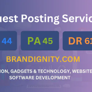 publish guest post on brandignity.com