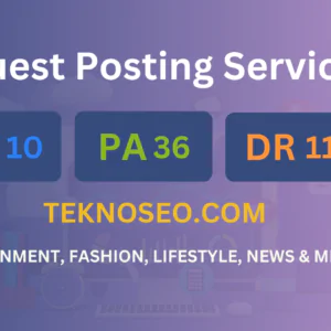 publish guest post on teknoseo.com