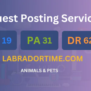 publish guest post on labradortime.com