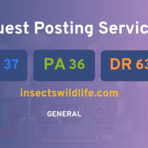 publish guest post on insectswildlife.com