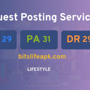 publish guest post on bitslifeapk.com