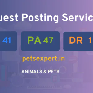 publish guest post on petsexpert.in